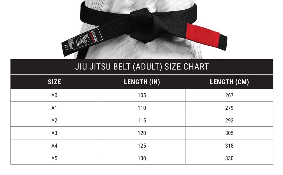 Hayabusa 2.0 Adult BJJ Belt - White