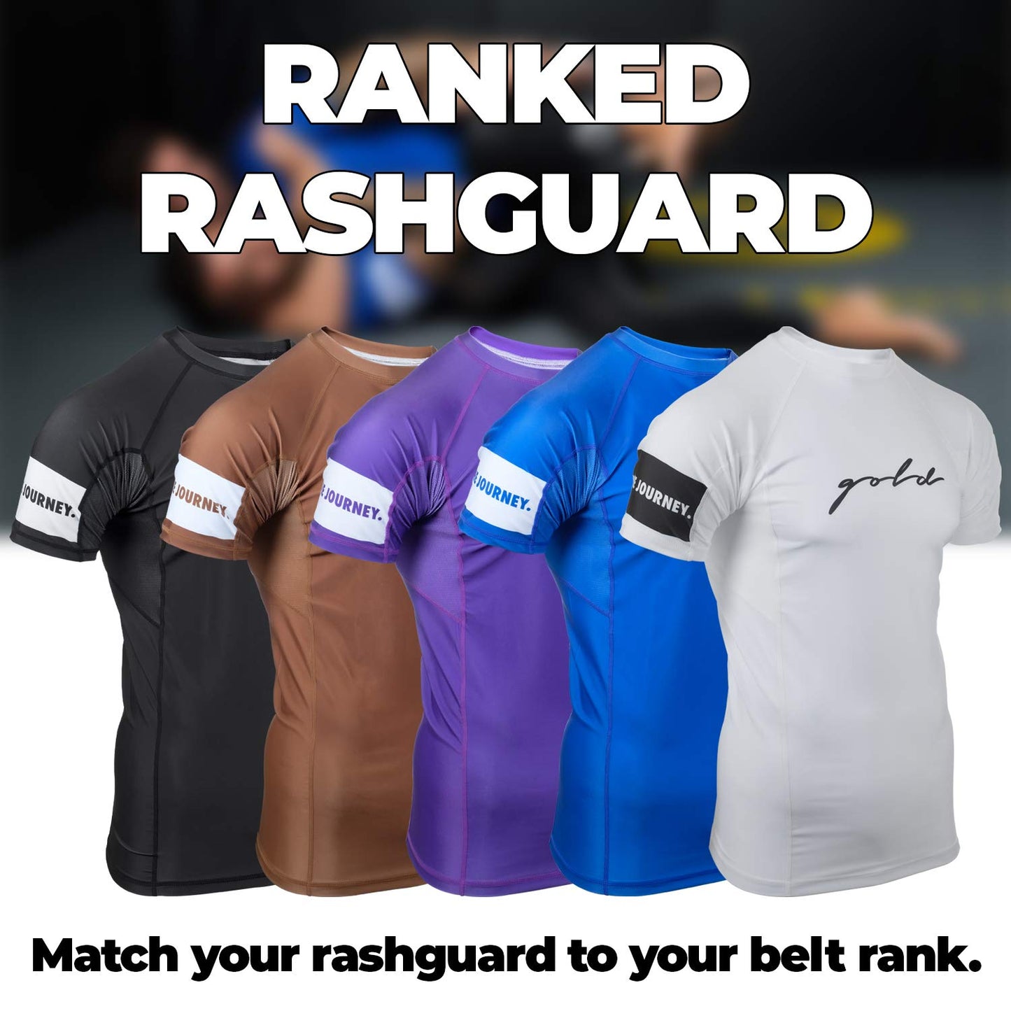 Gold BJJ Foundation Short Sleeve Rash Guard -  Blue