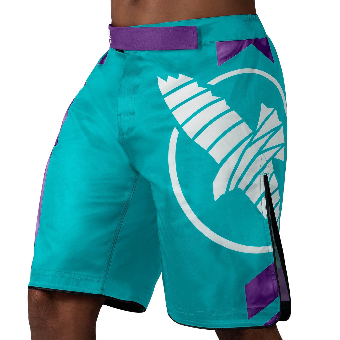 Hayabusa Men's Icon Fight Shorts - Teal